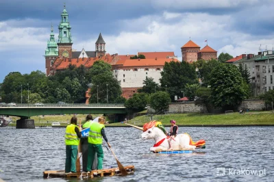 goferek - #krakow