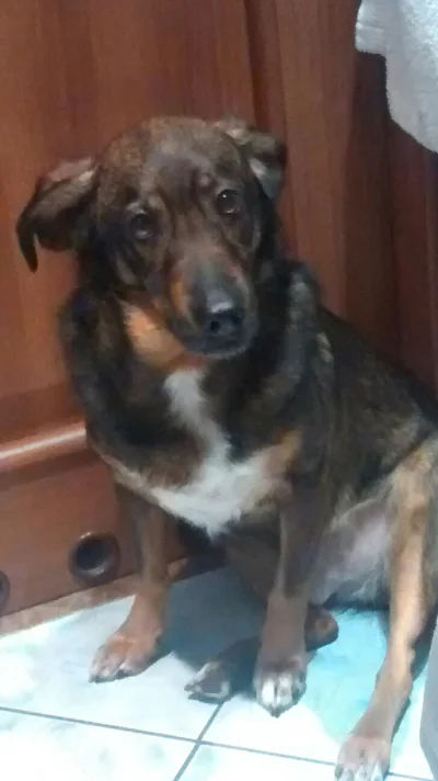 N.....a - #pixon to dziwny gość. Wchodzi za mną do łazienki, a potem patrzy się jakby...