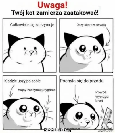 zlotypiachnaplazy - #koty #smiesznekotki #heheszki #smiesznypiesek #kitku