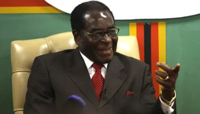 MKJohnston - Mugabe approves