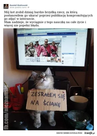 maxPL - #heheszki #koty #humorobrazkowy #dziendobry #byloaledobre