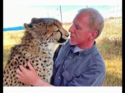 YaYco - Tutaj ten sam koleś spotyka się z gepardem po dłuższej rozłące: