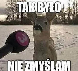 m.....- - @real_dandy: True story. Szkoda ze jakiegoś geja jeszcze tam nie wplotłeś