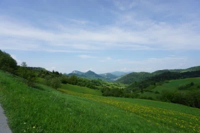 rikoon - A już nie długo tak będą wyglądać Pieniny
#pieniny #wiosna #góry