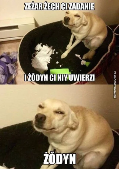 Lanza - #humor #humorobrazkowy #zodyn