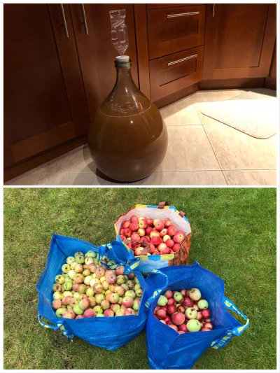 Uber_PRO - No to ruszyłem z winem jabłkowym :-)

Wykorzystałem ok. 16kg jabłek z la...