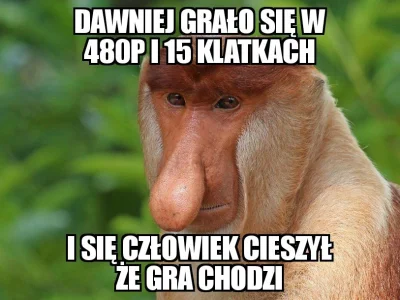 Larsberg - Gdy pokolenie graczy osiągnie wiek średni.

#pcmasterrace #gry #heheszki #...