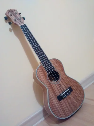 f.....u - Na fali lansu z tagu #pokazinstrument - moje #ukulele, może kiedyś nauczę s...