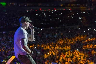 AngryBeaver - Przecież Eminem robi to dla formalności, nie koniecznie jest to zgodne ...