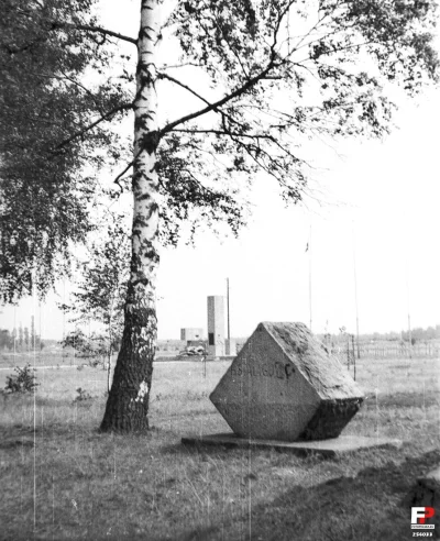 kodekscywilny - tak wyglądał obóz zaraz po wojnie. dziś wszytko pokrywa las, ale otwo...