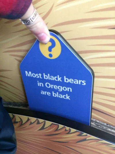 jednorazowka - Większość czarnych niedźwiedzi w Oregonie jest czarna

#niedźwiedzie...