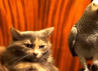 k0j0tek - Tak będzie już od 12 czerwca... On ogląda mecz, a ona się nudzi...



#hehe...