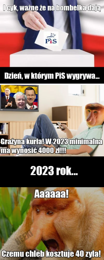 Heexi - #bekazpisu #polskiedomy #heheszki #panstwozdykty #polityka