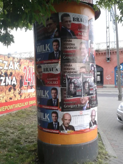 Lolington - Prawilny słup ogłoszeniowy #braun #korwin #pilecki #wroclaw #polityka