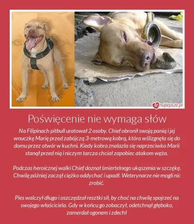 Supercoolljuk2 - #tenajlepsze #truestory #really