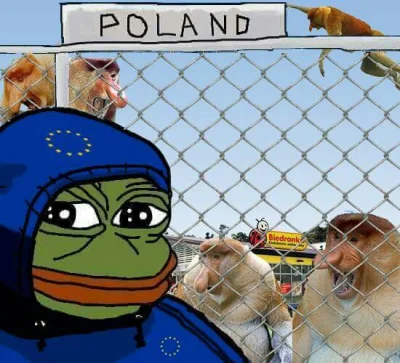 m.....- - @DeusVultV: Dlaczego ci muzułmanie są w Polsce a polski seba po drugiej str...