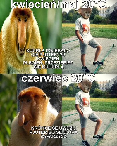 capybara_ - ( ͡° ͜ʖ ͡°)
#polak #nosaczsundajski #homorobrazkowy