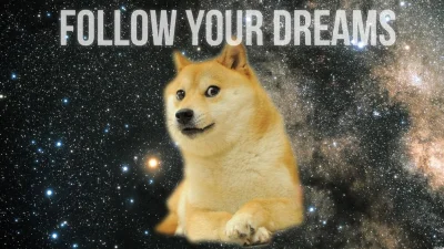 d.....e - #thanksdoge