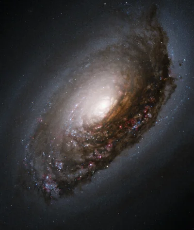 d.....4 - Galaktyka Czarne Oko (M64)

#dobranoc #kosmos #conocjednagalaktyka