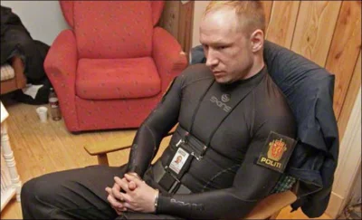 JanuszKarierowicz - #breiviknadzis

"Wdrożenie małego barbarzyństwa jest czasami ko...