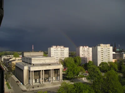 lesio - #czestochowa #randomowaczestochowa

Zdjęcie sprzed min 10 lat.