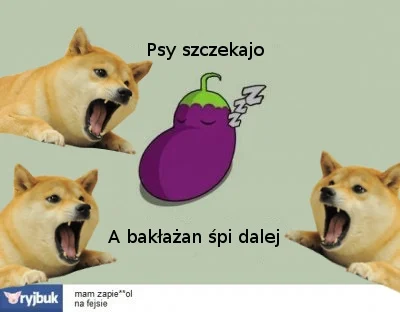 F.....e - Afera taśmowa to temat zastępczy dla bakłażana.

#baklazan #nocbaklazana