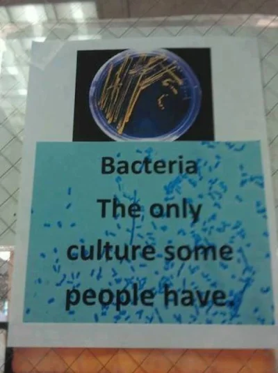 Middle-Earth - #heheszki #elitawykopu #bakterie