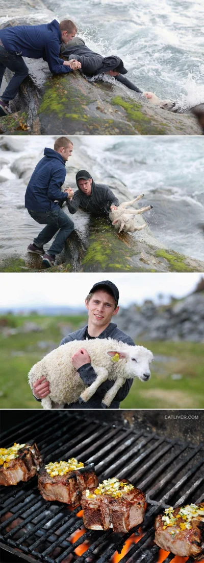 epi - Prawdziwy bohater ratuje owieczkę :)

#heheszki #humorobrazkowy #owieczka