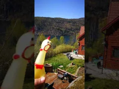 PMV_Norway - Wesołego kurczaka #swieta #norwegia