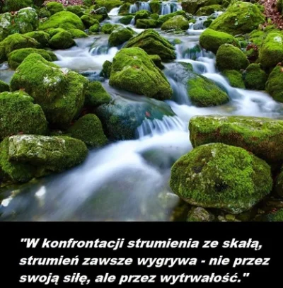 bioslawek - #ciekawostki #cytaty