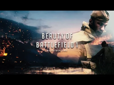 hi_patryk - Całkiem gryfny filmik i soundtrack.

#bf1 #battlefield1 #film