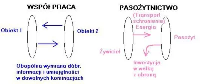 Adriano - Antyszczepionkowcy to społeczne pasożyty:

- my szczepimy i będziemy szcz...