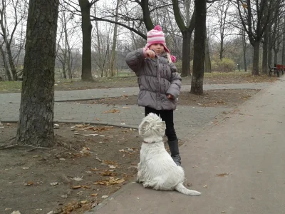 Jerzu - Elementy szkolenia, komenda siad. #pokapsa