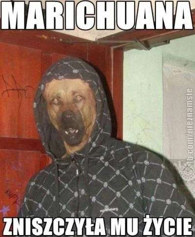 Razr - tak bardzo głupie, ale zawsze mnie rozśmieszy :D 

#marihuana #cpuny #humorobr...