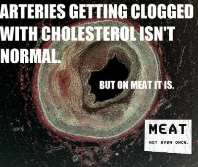 zakowskijan72 - #cholesterolzawszespoko #meat