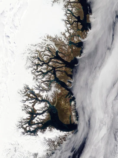 jakkolwiekbyniebylo - #geografia #earthporn #grenlandia #lodowiec #drzewa 
Wschodnie...
