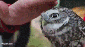 mehen - @Lookazz: ✌