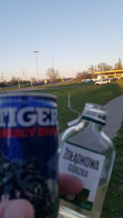 PodwozieByloZle - #alkohol #pijzwykopem #lodz Nie ma to jak czilałt ʕ•ᴥ•ʔ