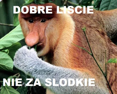 elofrytki - #memy #humorobrazkowy #janusze #nosaczsundajski #typowypolak 
#gownowpis...