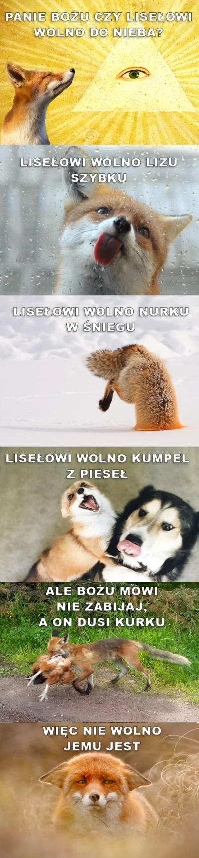 BenzoesanSodu - Dzień dobry! ( ͡° ͜ʖ ͡°)

#kitku #codziennekitku #zwierzaczki #hehesz...