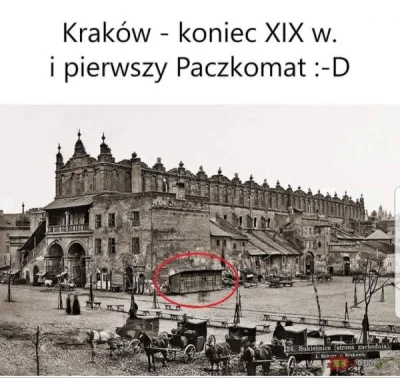 DzikWesolek