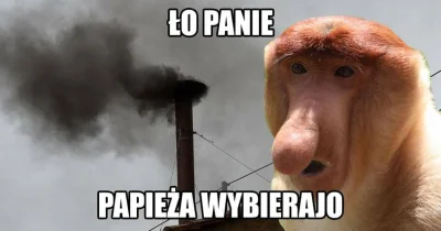 Fajnisek4522 - #polak #nosaczsundajski #heheszki #humorobrazkowy