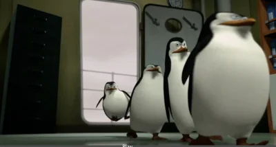 Gloszsali - Pingwiny skręciły w ostatniej chwili