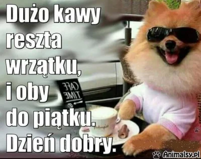 z.....d - OFICJALNE SIEMANO MIRASY (⌐ ͡■ ͜ʖ ͡■)
#dziendobry