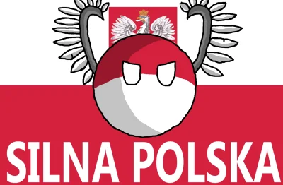spartacus1455 - Polska Kulka
#polonizacjamemow