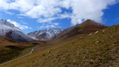zlowroga_ostryga - Droga nad jezioro Song Kul w Kirgistanie. Miejsce pełne ciszy, jur...