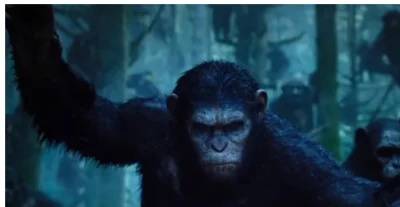 tler - @Waspin: Od drugiej minuty pokazane są małpy - wiesz może z jakiego to filmu?