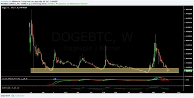 ch00dybcn - Kupuję DOGE po 24 sats. Inwestycja na kilka miesięcy (dla cierpliwych), p...