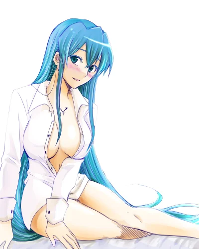 H.....e - #ecchi #akamegakill #esdeath 

#pixiv - Autor