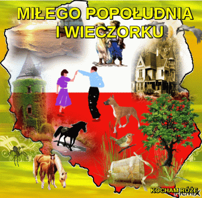 d.....n - #polska #patriotyzm #magicznakrainagrazyny #poezja 

 Unia brukselska,
 śm...